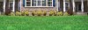 Lawn Doctor's Photos