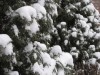 No major snow-related problems ... yet