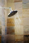 Shower Head
