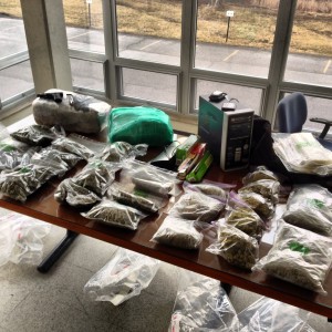 Drug busts net 60 pounds of marijuana, cash and SUV