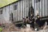 Toddler crushed by train