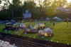 Hobart Relay for Life