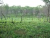 Cowles Bog