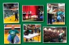 'Green' Spirit Alive and Well in City and Schools