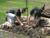 Arbor Day sprouts saplings
