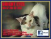Pets of the week