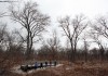 Christmas bird count volunteers try to identify species, numbers of birds