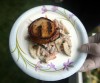 C.P.'s Main Street sizzles with a bigger Taste