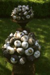 Gardening Flower Bulbs