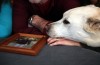 Troops home, physically or digitally, for Christmas