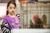 Thomas library staff present program on raising fowl at home