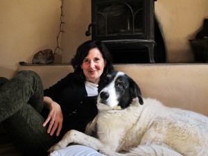 Pet owners turn to non-traditional communication methods