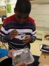 Merrillville Intermediate School