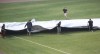 RailCats wait out weather with region, fans