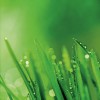 Ways to save water—and money