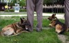 Lake County honors its fallen officers