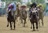 Oxbow vs. Orb in the cards at Belmont Stakes