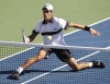 Djokovic upsets Federer, will face Nadal in final