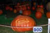 Flinstones Pumpkins