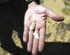 VU research sheds new light on glacier history