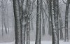 Snow begins falling on region; flights canceled