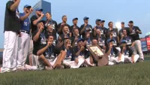 Lake Central baseball wins state