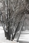 Winter storm blows through region