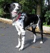 Meeka