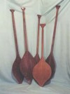 Herbal Healer What is remo caspi?