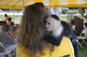 Something  'wild' at Sunset Hill Park this weekend