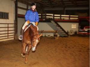 Young equestrian takes top prizes