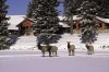 Fairmont Jasper Park Lodge a historical Canadian paradise for royals of Hollywood and England  
