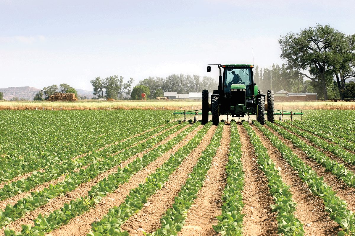 Image result for Iowa farmer