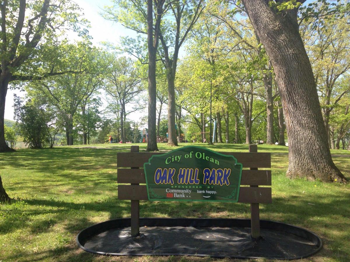 State and Union Oak Hill Park was once Olean’s burial ground News