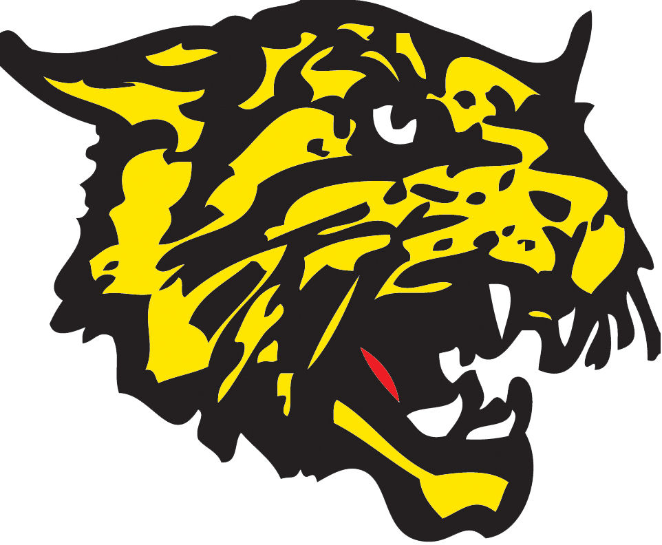 Cayuga volleyball team ranked No. 10 in state poll Sports