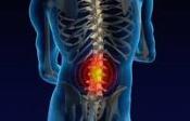 Leese Chiropractic Center