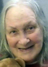 Virginia Stein