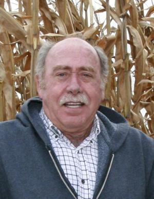 David Kinsella