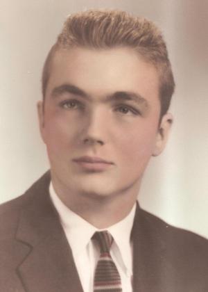 Robert R. Goodin