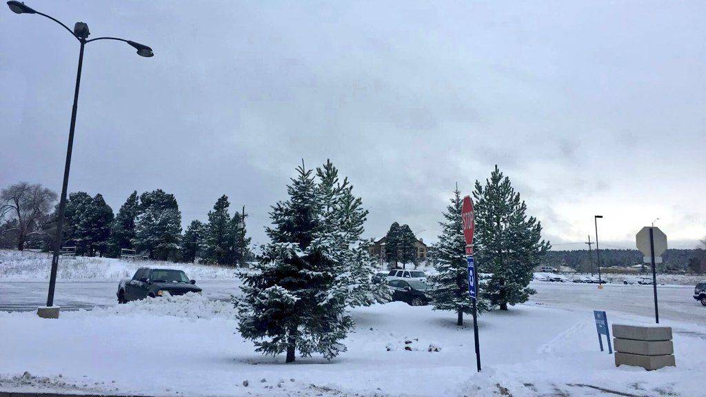 Flagstaff area gets 5 inches of snow over weekend Arizona News