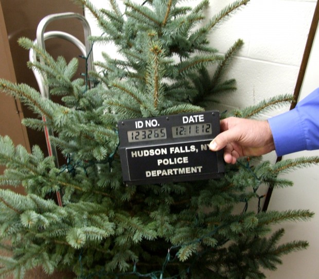 police charge teen with stealing christmas tree police charge teen with stealing christmas tree