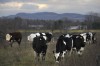 Farmland Preservation