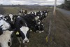 Farmland Preservation