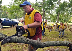 tree cutting
