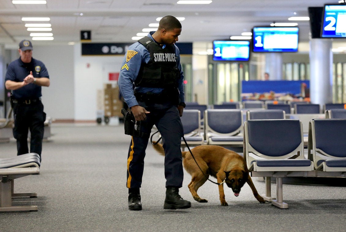 K 9 Training At Ac Airport News Galleries 