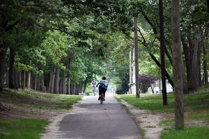 Bike Path