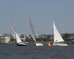 catboat race