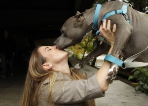 New master's program concentrates on animal law