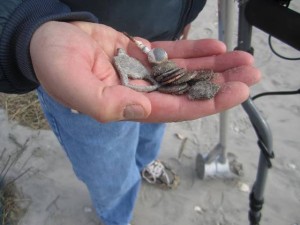 Post-Sandy, Atlantic City beaches draw hobbyists searching for buried treasure