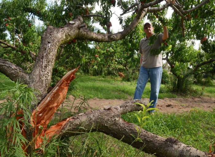 derecho farms